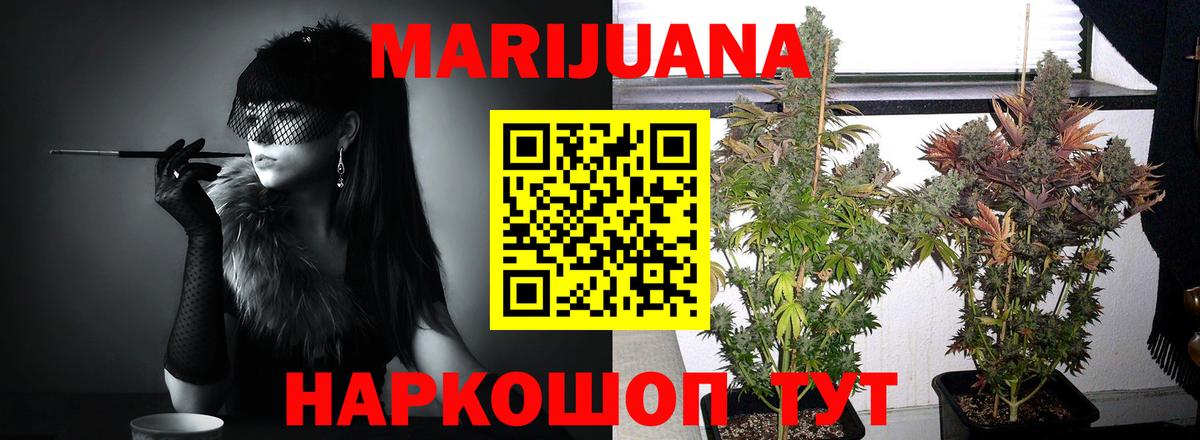 Бошки Шишки SATIVA & INDICA  Шишки марихуана THC 21%  Дзержинск  МАРИХУАНА Ganja  Вход с VPN 